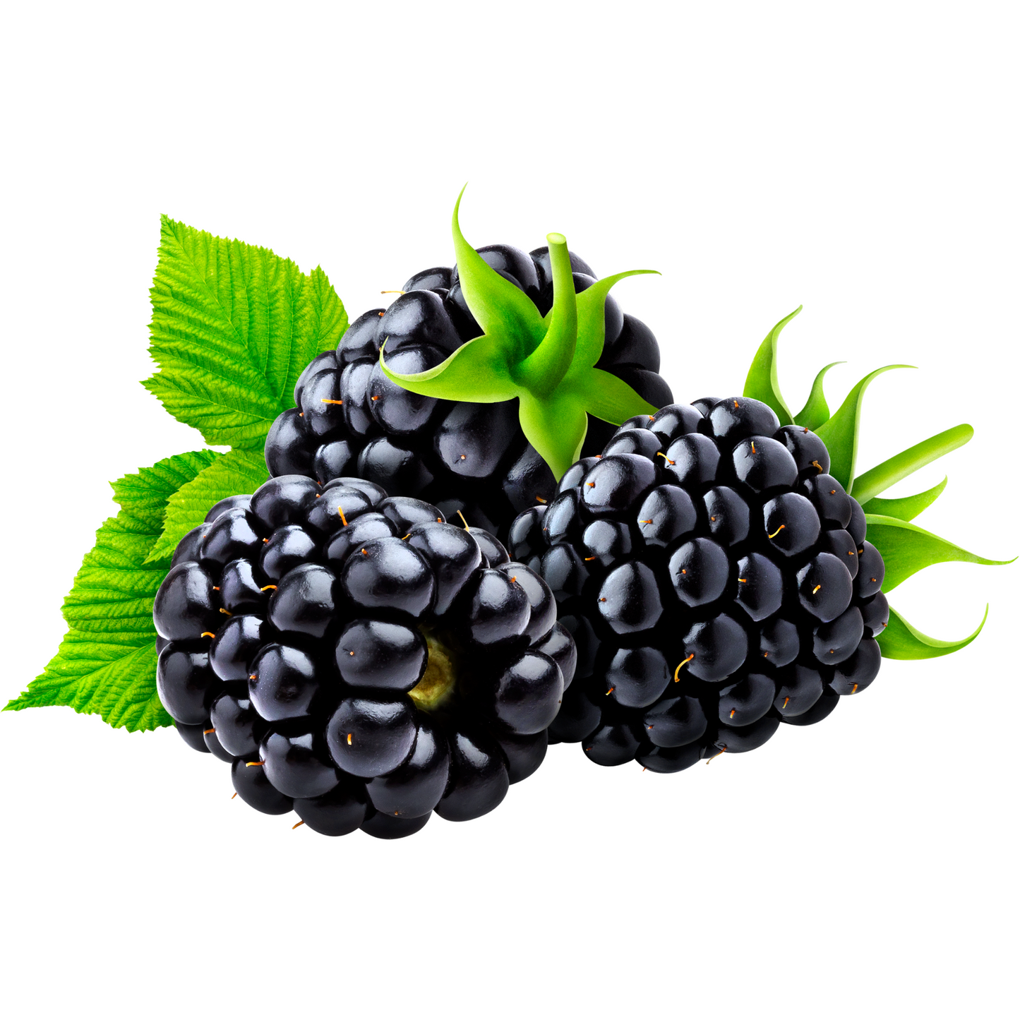 Blackberry Merlot