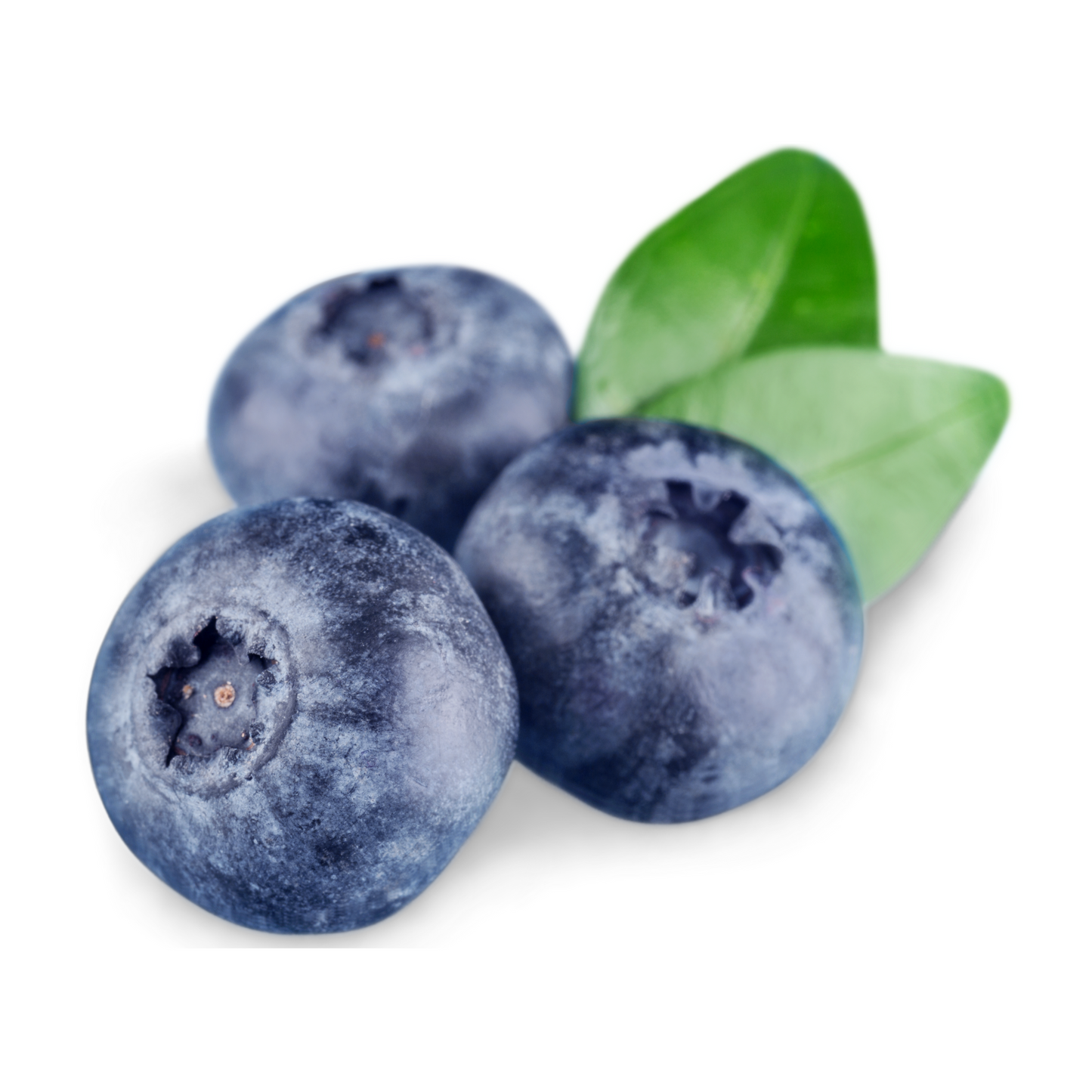 Blueberry Bergamais